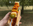 Spicy Cheese & Charcuterie Skewers